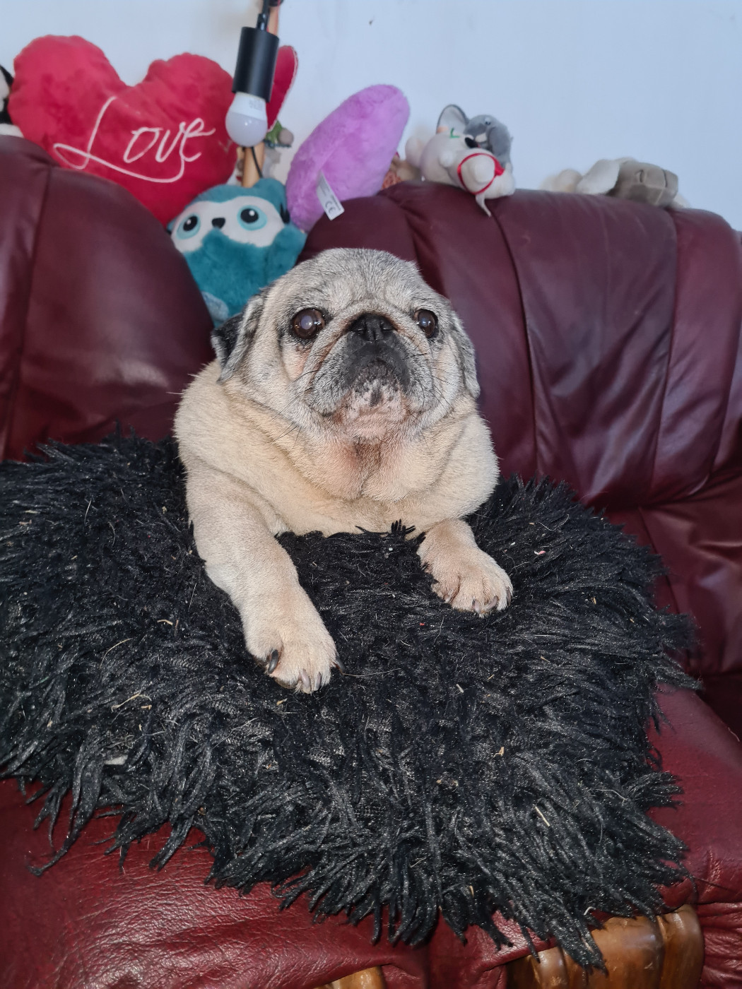 Des bébés sont nés